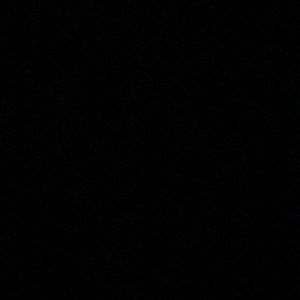 Meet your Posher, Daneen